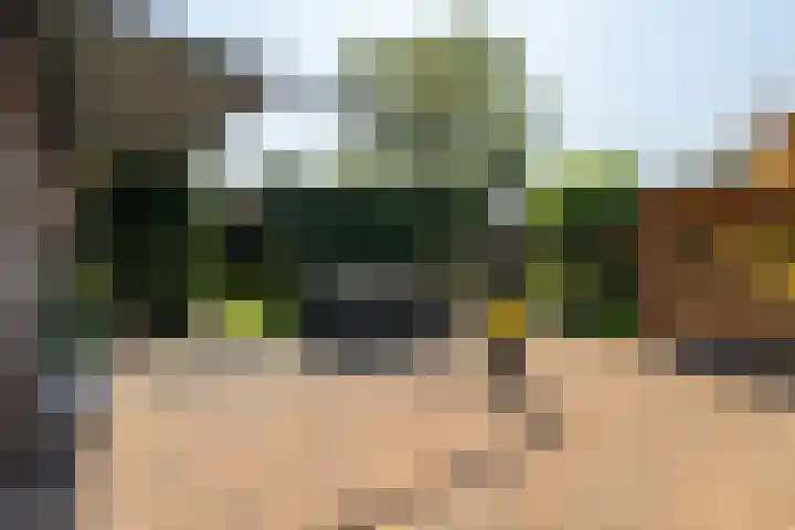 Stoep 1 Rijswijk (NB) thumbnail 41