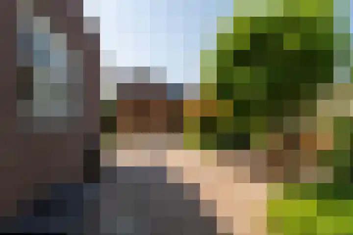Stoep 1 Rijswijk (NB) thumbnail 42
