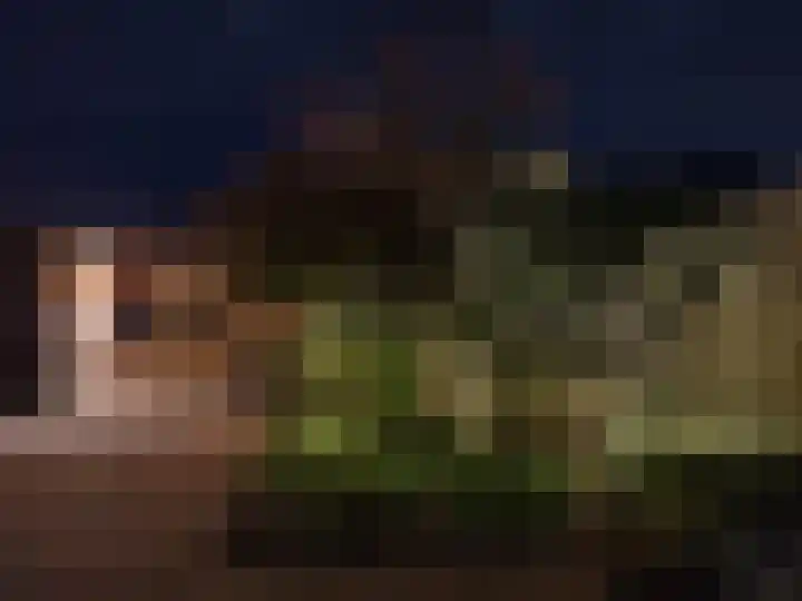 Stoep 1 Rijswijk (NB) thumbnail 43