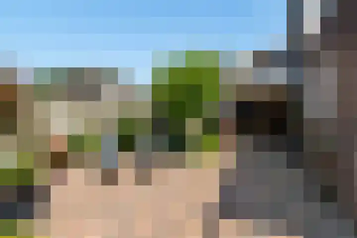 Stoep 1 Rijswijk (NB) thumbnail 44