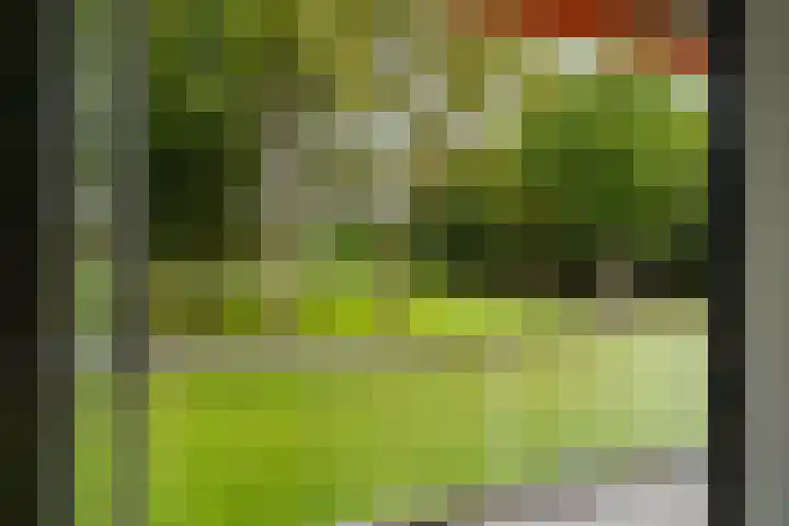 Stoeplaan 11 F10 Wassenaar thumbnail 13