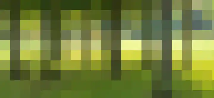 Stoeplaan 11 F10 Wassenaar thumbnail 15