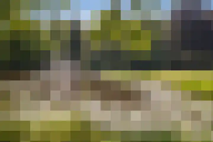Stoeplaan 11 F10 Wassenaar thumbnail 16