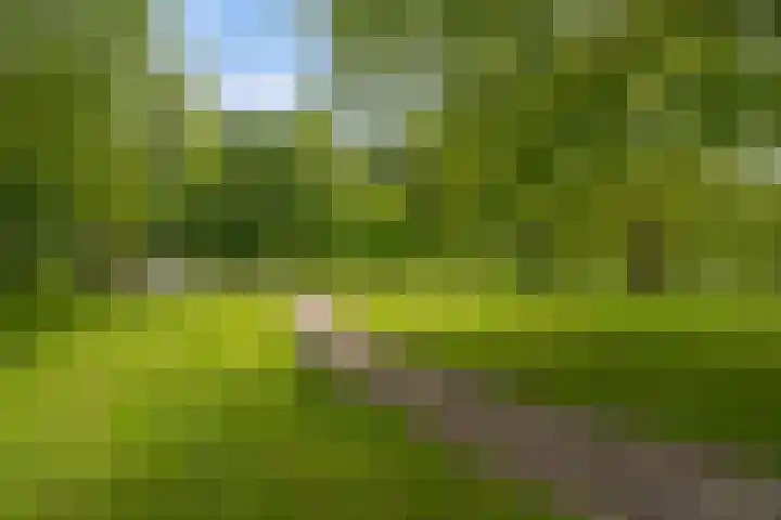Stoeplaan 11 F10 Wassenaar thumbnail 35