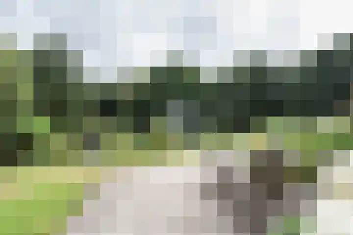 Stoeplaan 11 F10 Wassenaar thumbnail 37