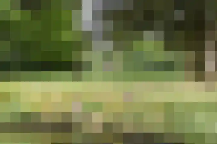 Stoeplaan 11 F10 Wassenaar thumbnail 38