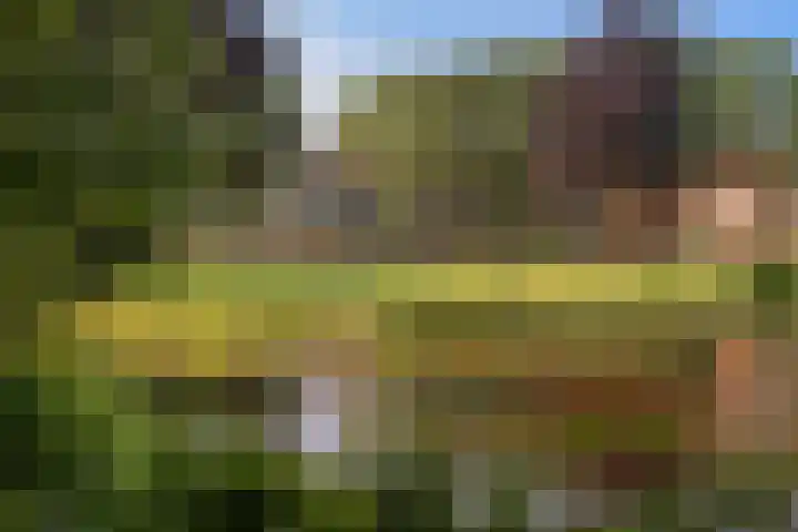 Stoeplaan 11 F10 Wassenaar thumbnail 39