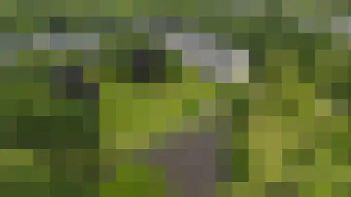 Stoeplaan 11 F10 Wassenaar thumbnail 40
