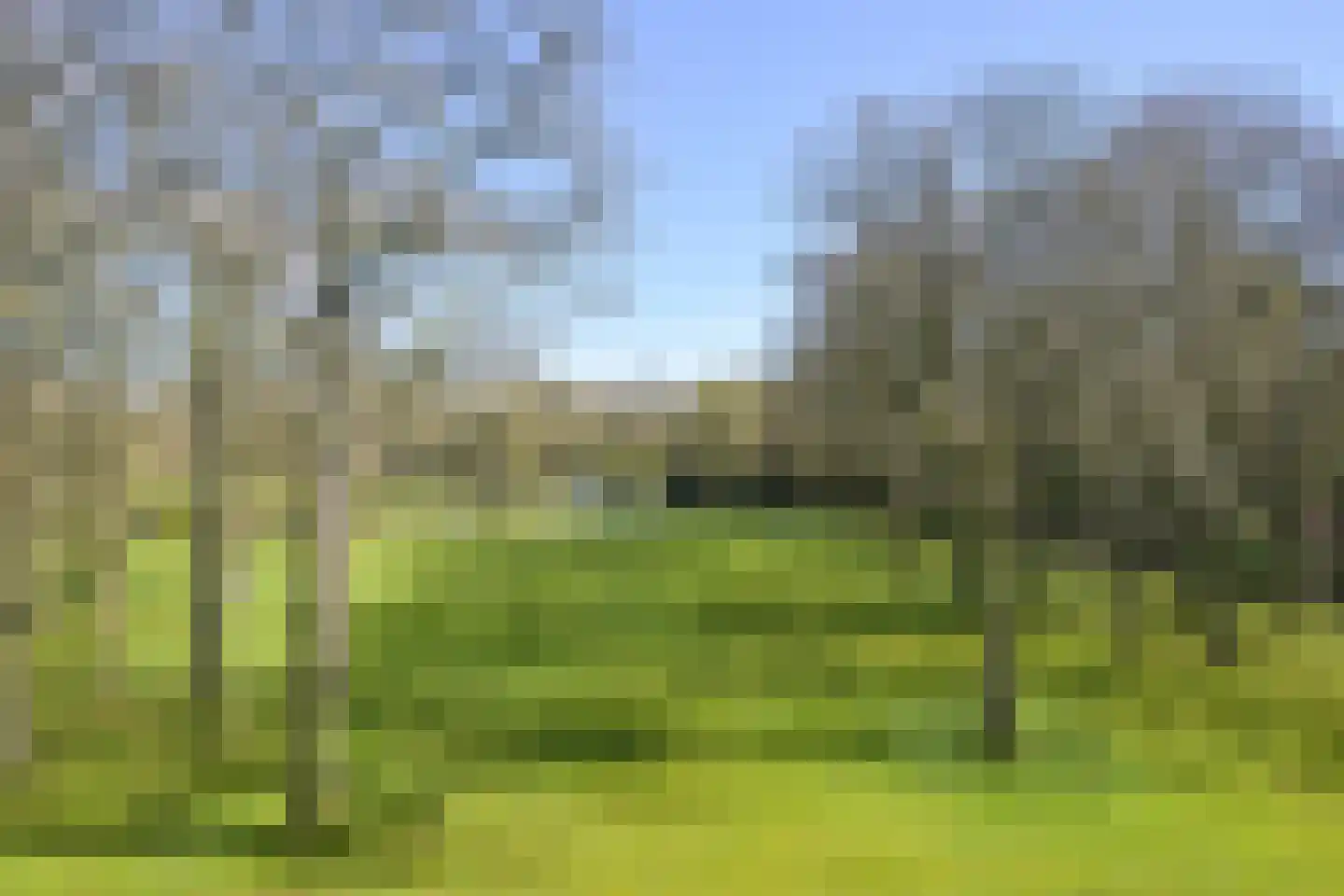 Stoeplaan 11 F24 Wassenaar thumbnail 21