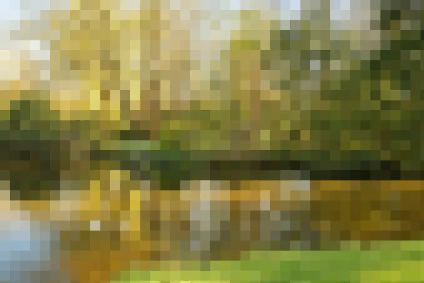 Stoeplaan 11 F24 Wassenaar thumbnail 24