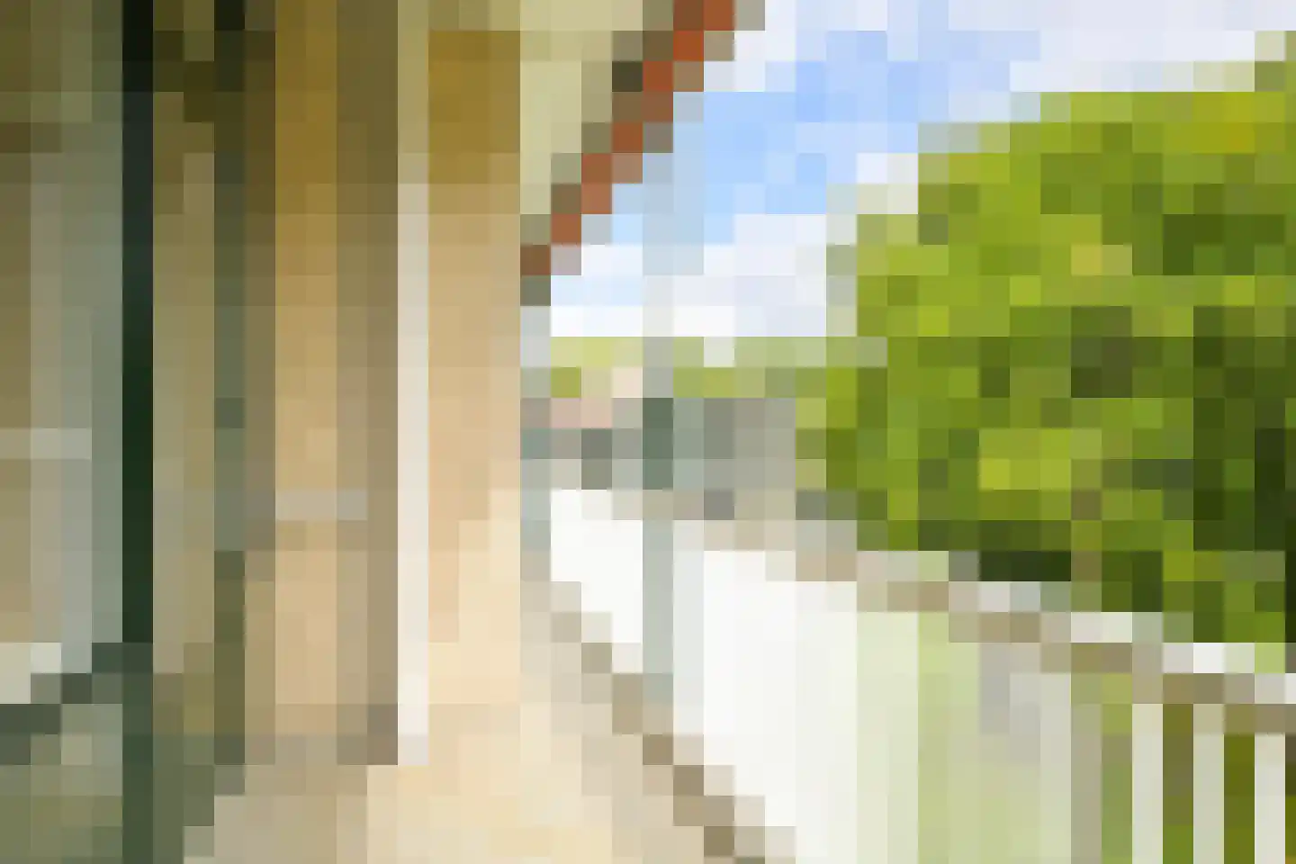 Stoeplaan 11 F25 Wassenaar thumbnail 11