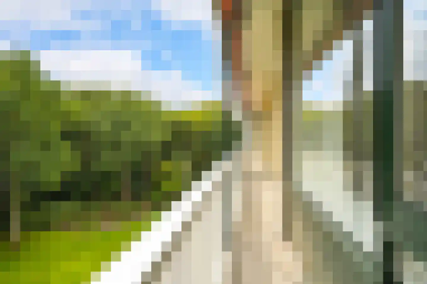 Stoeplaan 11 F25 Wassenaar thumbnail 12