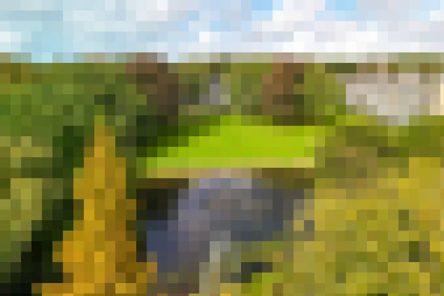 Stoeplaan 11 F31 Wassenaar thumbnail 4