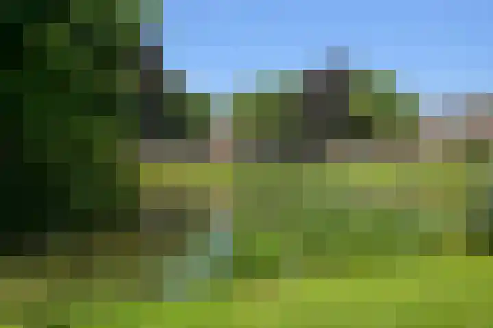 Stoeplaan 11 F34 Wassenaar thumbnail 18