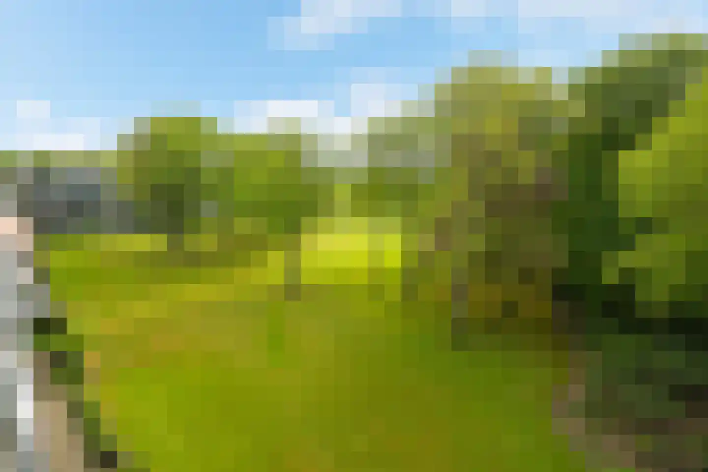 Stoeplaan 11 F43 Wassenaar thumbnail 22