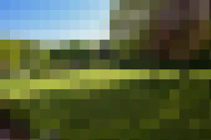 Stoeplaan 11 F59 Wassenaar thumbnail 10