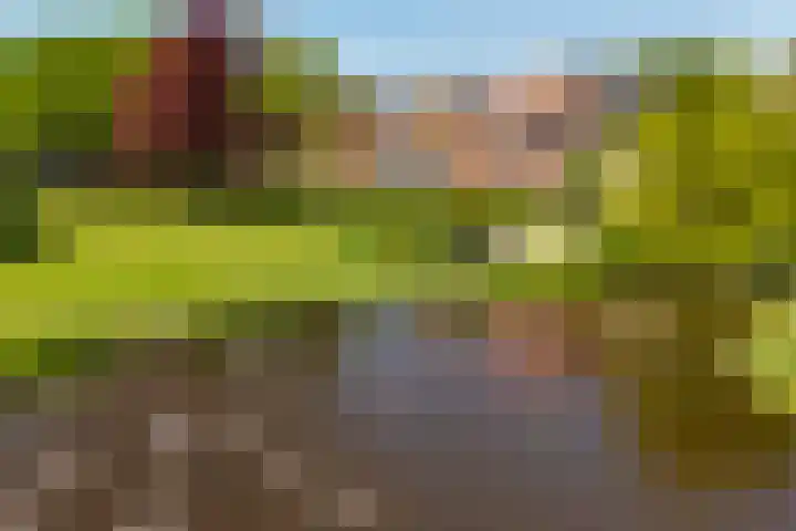 Stoeplaan 11 F59 Wassenaar thumbnail 17