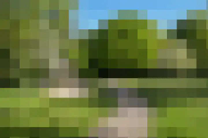 Stoeplaan 11 F59 Wassenaar thumbnail 19