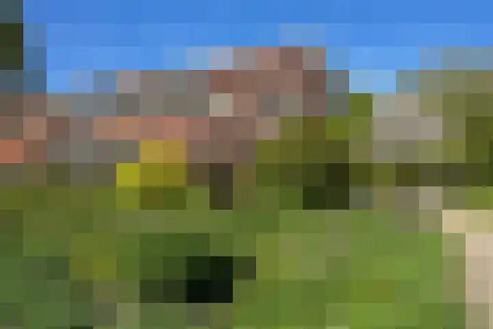 Stoeplaan 11 F59 Wassenaar thumbnail 21