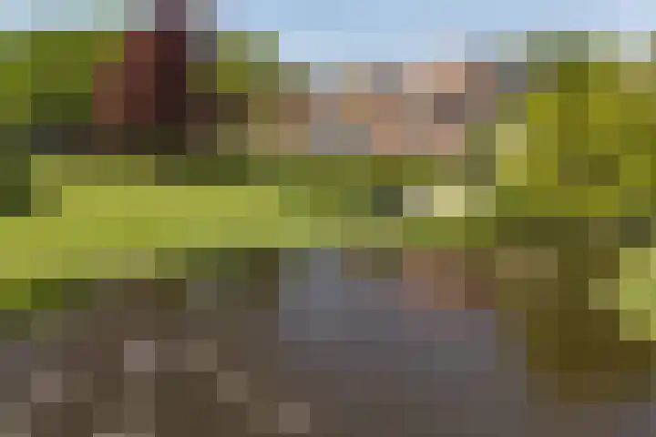 Stoeplaan 11 F59 Wassenaar thumbnail 25