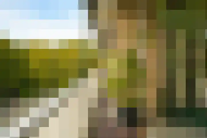 Stoeplaan 11 F7 Wassenaar thumbnail 13