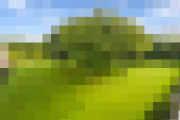 Stoeplaan 11 F7 Wassenaar thumbnail 19