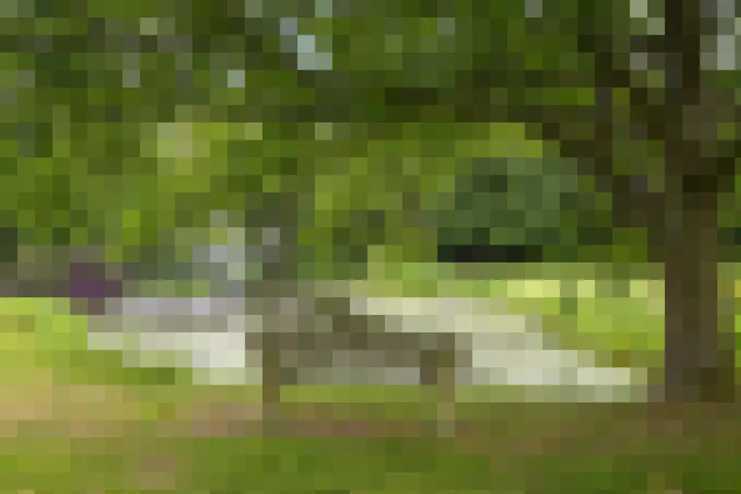 Stoeplaan 11 F72 Wassenaar thumbnail 26