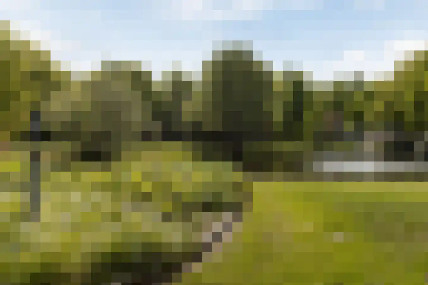 Stoeplaan 11 F8 Wassenaar thumbnail 12
