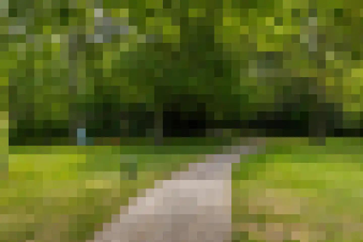 Stoeplaan 11 F8 Wassenaar thumbnail 15