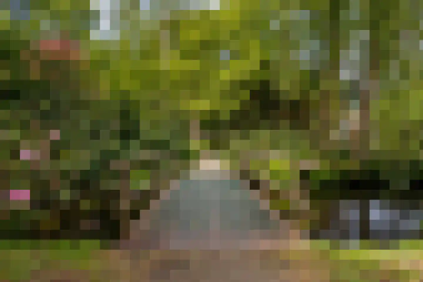Stoeplaan 11 F8 Wassenaar thumbnail 17