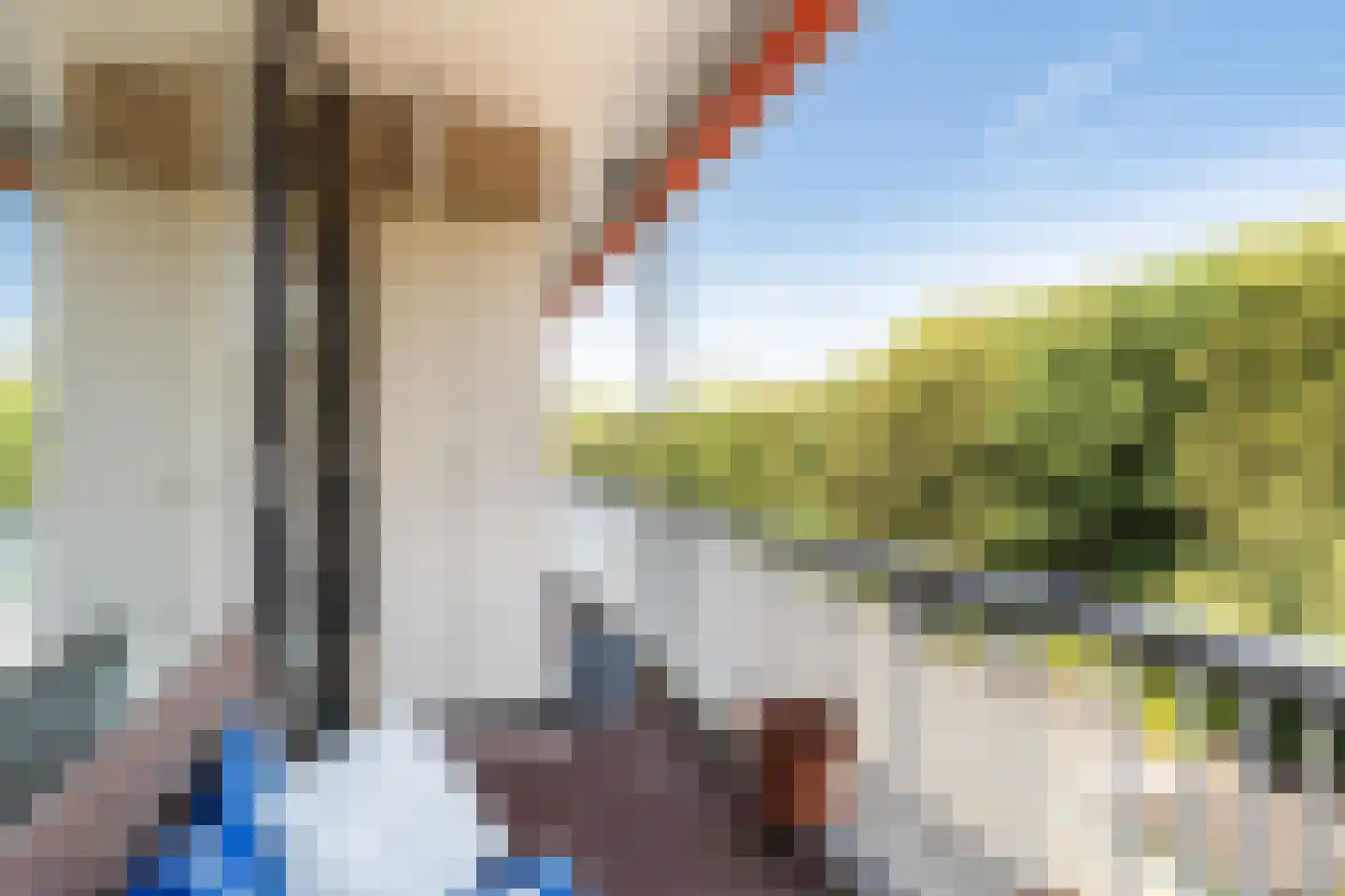 Stoeplaan 11 F8 Wassenaar thumbnail 43