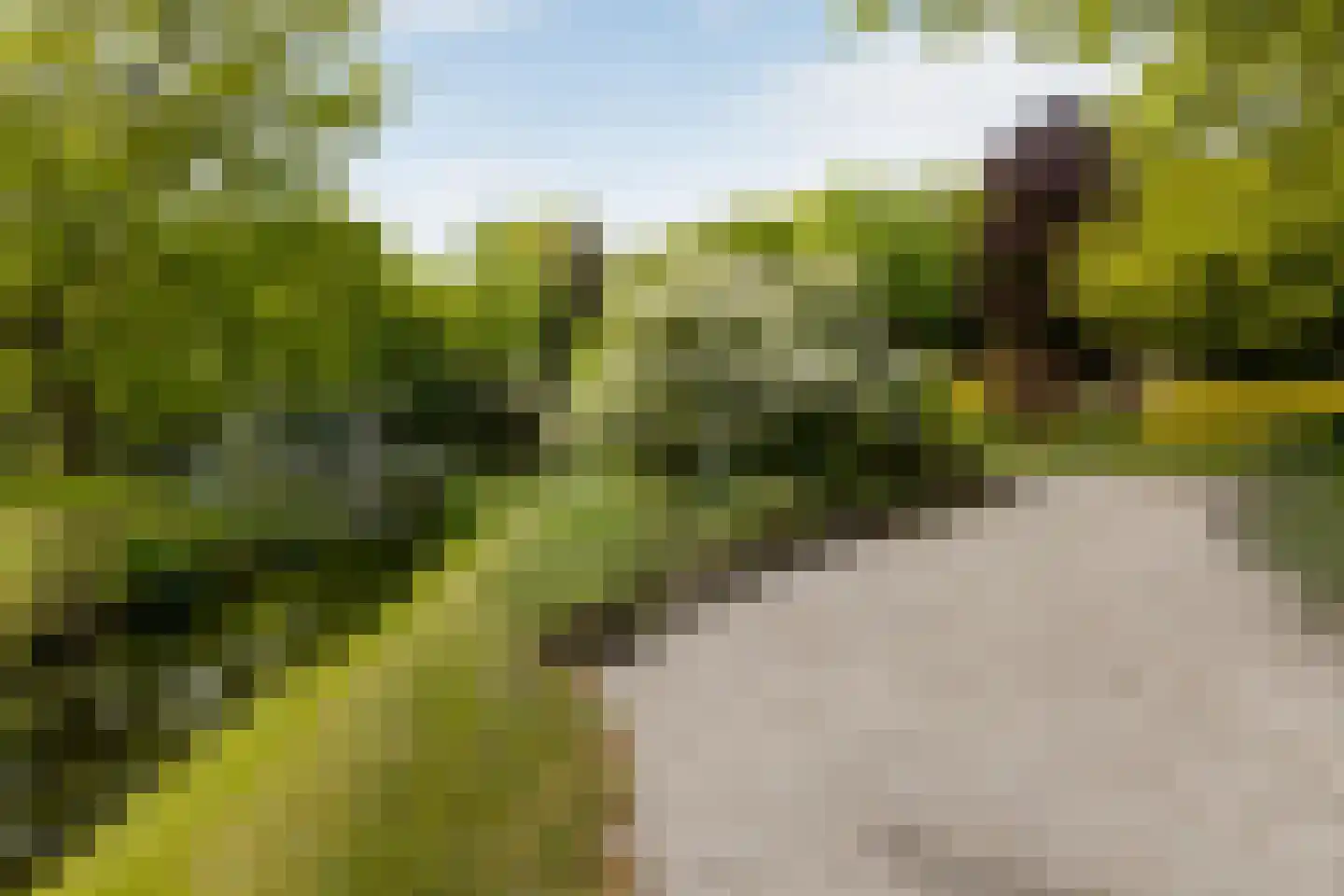 Stoeplaan 11 F8 Wassenaar thumbnail 58