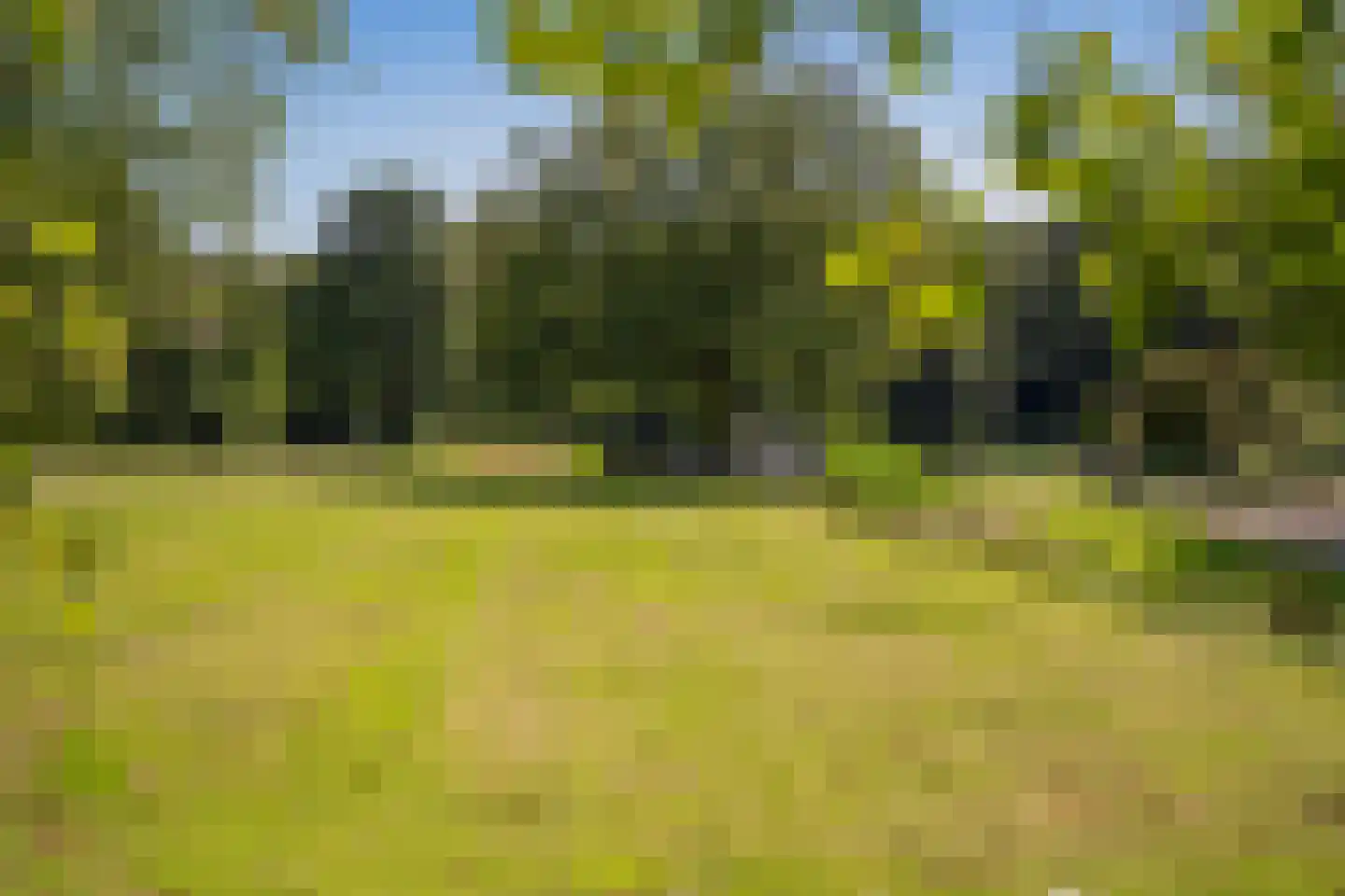Stoeplaan 11 F8 Wassenaar thumbnail 9