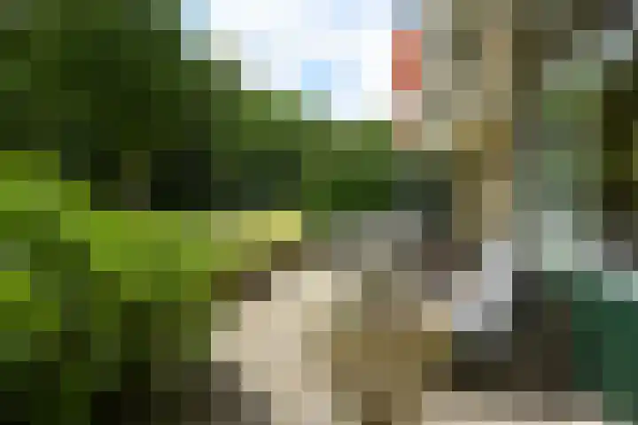 Stoeplaan 11 F9 Wassenaar thumbnail 12