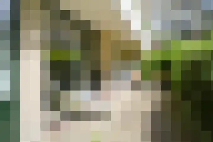 Stoeplaan 11 F9 Wassenaar thumbnail 34