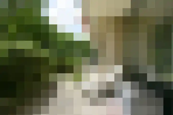 Stoeplaan 11 F9 Wassenaar thumbnail 35