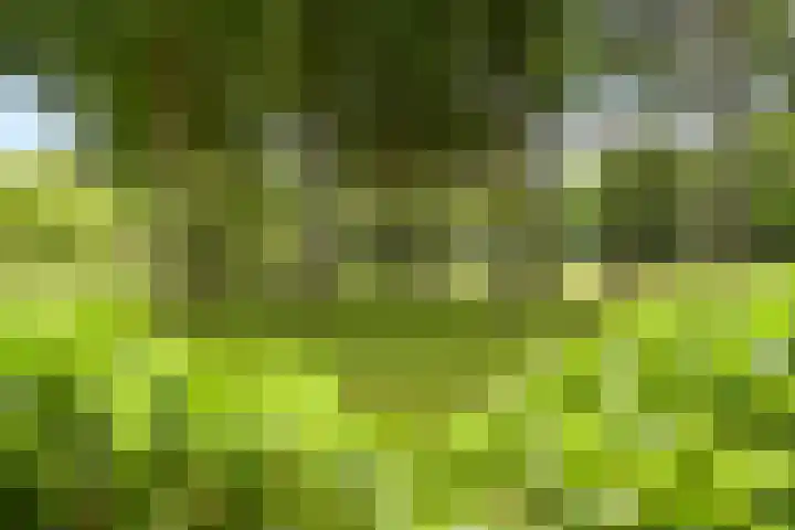 Stoeplaan 11 F9 Wassenaar thumbnail 37