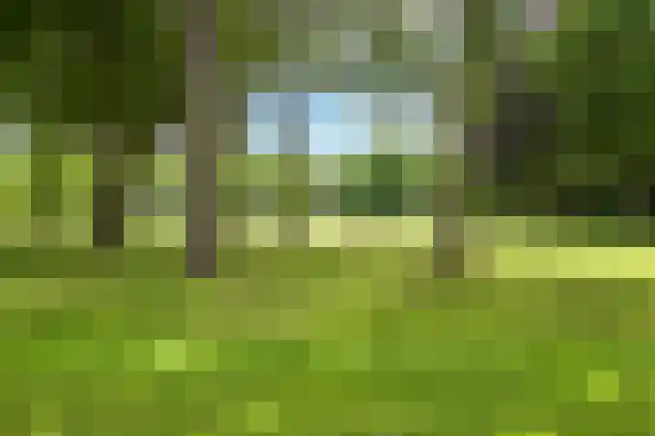 Stoeplaan 11 F9 Wassenaar thumbnail 39