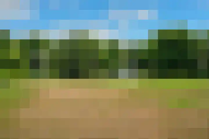 Stoeplaan 11 F9 Wassenaar thumbnail 40