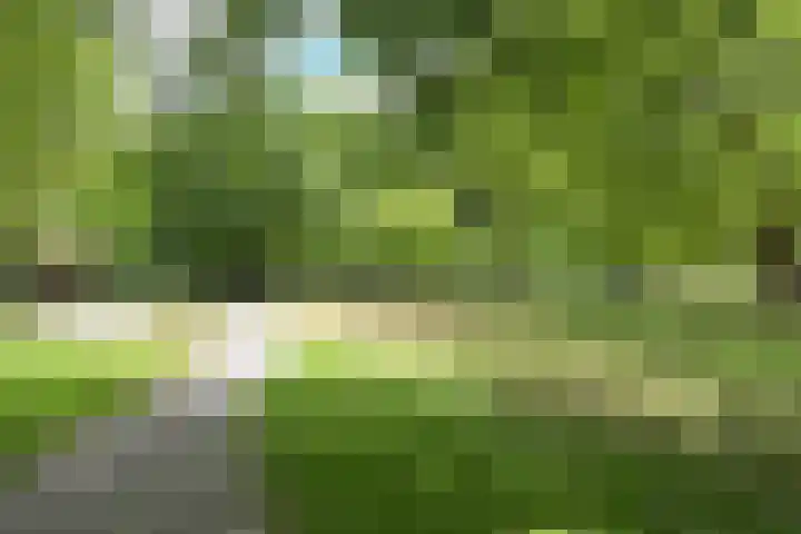 Stoeplaan 11 F9 Wassenaar thumbnail 41