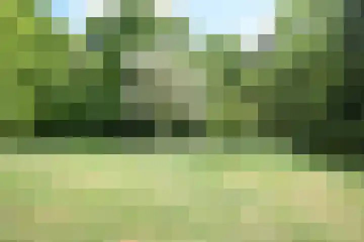 Stoeplaan 11 F9 Wassenaar thumbnail 42