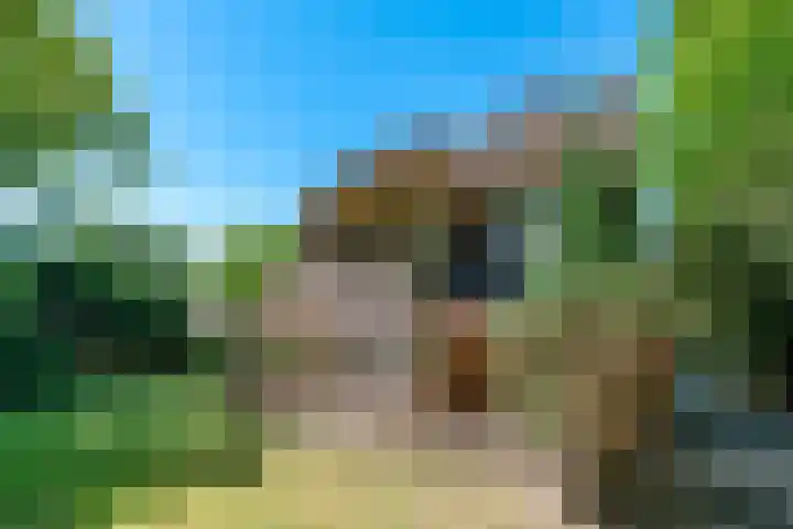 Stoeplaan 23 Wassenaar thumbnail 13