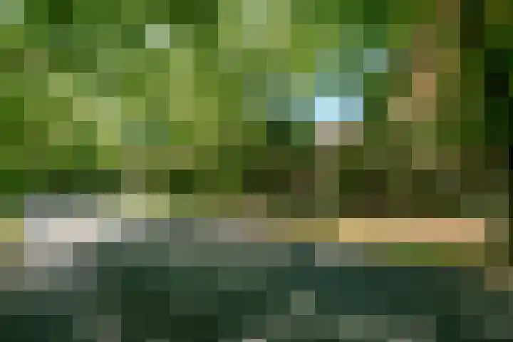 Stoeplaan 23 Wassenaar thumbnail 5