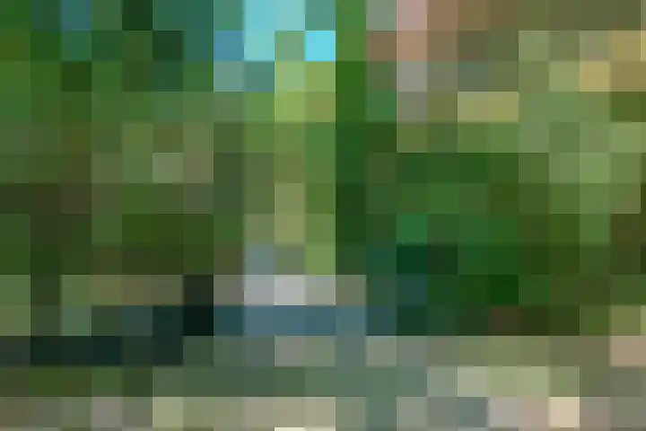 Stoeplaan 23 Wassenaar thumbnail 6