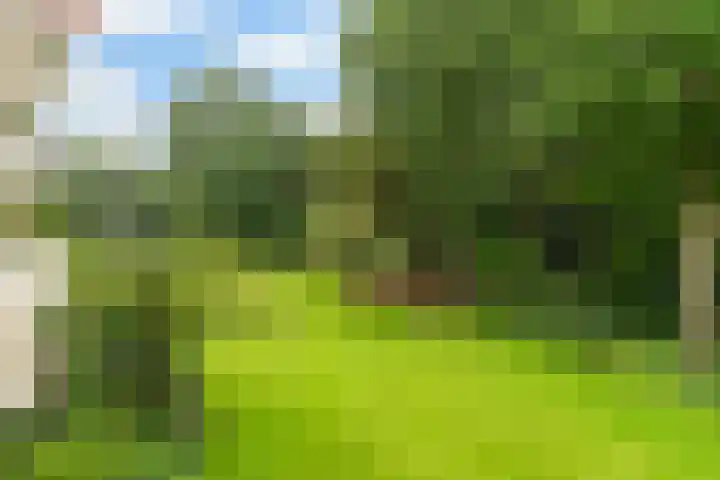 Stoeplaan 9 F26 Wassenaar thumbnail 16