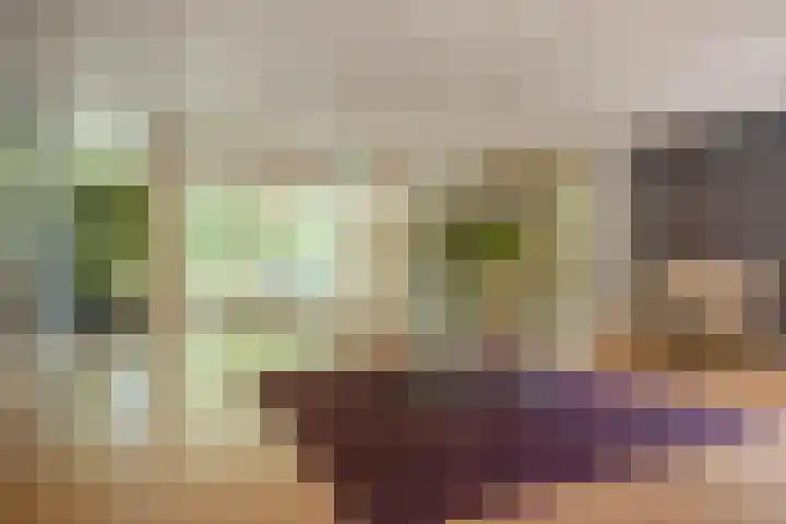 Stoeplaan 9 F4 Wassenaar thumbnail 33