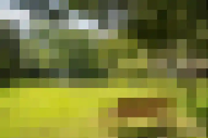 Stoeplaan 9 F4 Wassenaar thumbnail 37