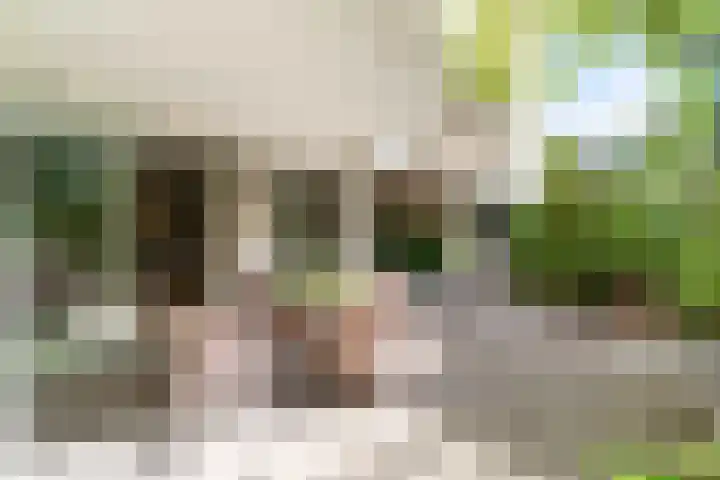 Stoeplaan 9 F51 Wassenaar thumbnail 18
