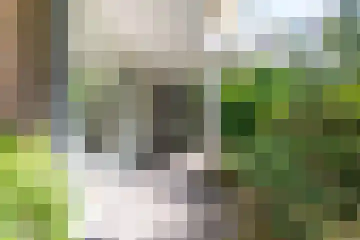 Stoeplaan 9 F51 Wassenaar thumbnail 20