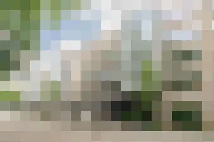 Stoeplaan 9 F51 Wassenaar thumbnail 4